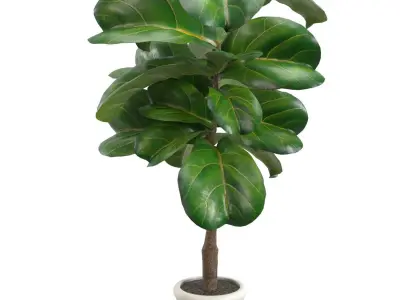 Inch Fiddle Leaf Artificial Tree In White Ceramic Planter PBR 3D model