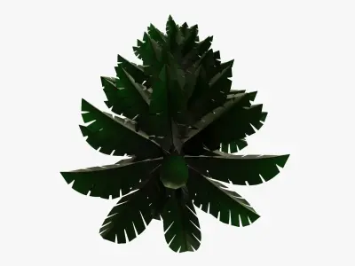 Christmas fir tree stylized 01 3D model