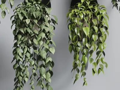 wall plant - collection Indoor plant 180 concrete wall vase 3D model