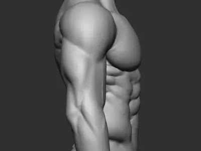 fitness bodybuilder  3D print model