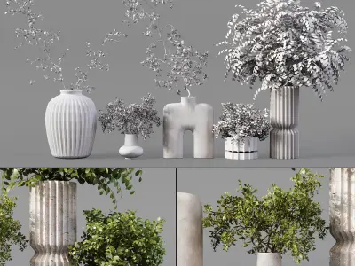 Collection Indoor Plants 019 3D model