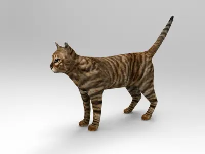 3d Cat wild low poly model Low-poly 3D model
