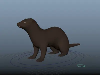 Ferret Rig 3D model