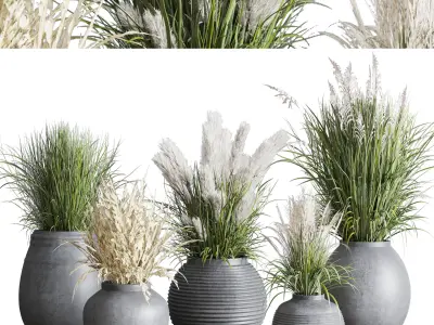 plant SET pampas grass flowerpot outdoor plant 128 3D model