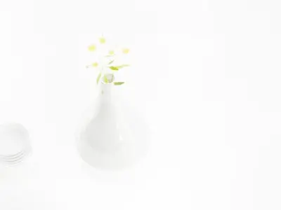 lowpoly vase with flowers Free low-poly 3D model