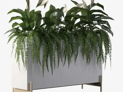 office plants 3D model