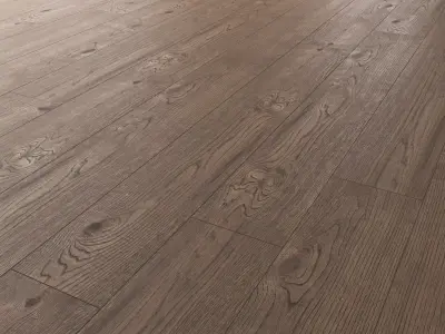 Wood Floor Oak Missisippi Wild Wood 3D model