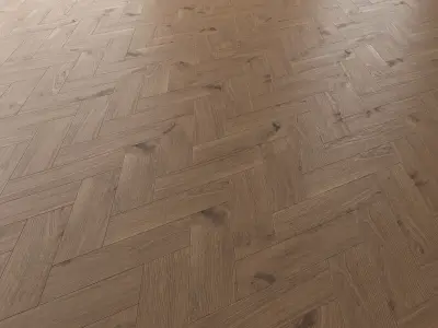  Parquet Oak Vergne Wild Wood set 5 3D model