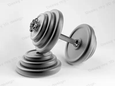 Set of dumbbells for sports 3D model