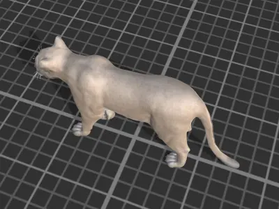 Cougar  Low-poly 3D model