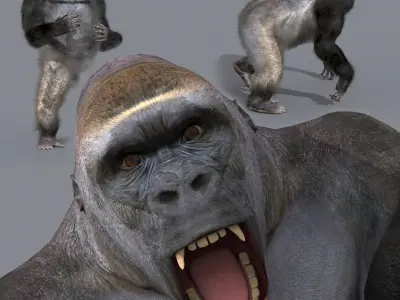 C Silverback Gorilla 8K- 3d animated 3D model