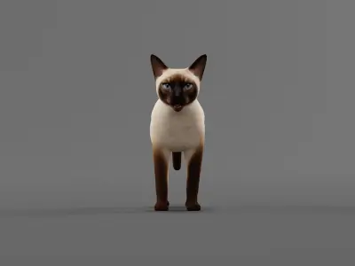 Siamese Cat Low-poly 3D model