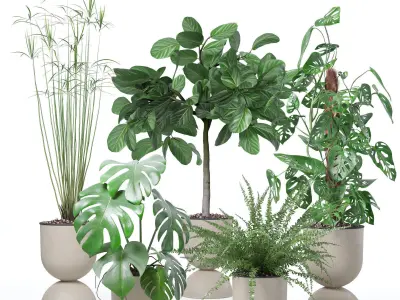 20 Photorealistic Flowers for Interiors - set 119 127 124 126 3D Model Collection