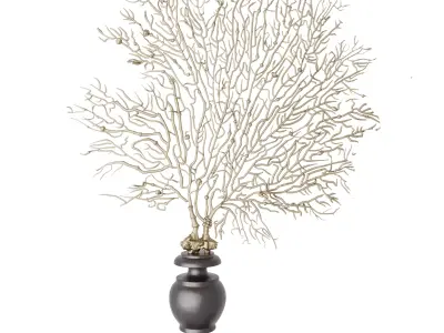 Coral Decoration Collection 3D model