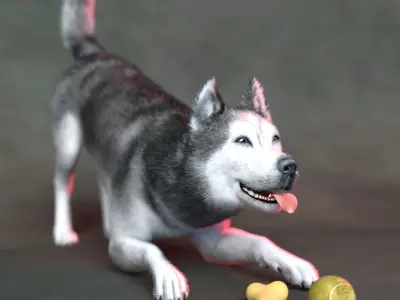 Photo realistic looking Dog Low-poly 3D model