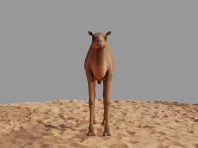 Camel LowPoly in desert Low-poly 3D model