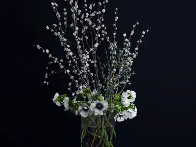 Anemones and branches 3D model