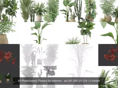 20 Photorealistic Flowers for Interiors - set 201 205 211 214 3D Model Collection