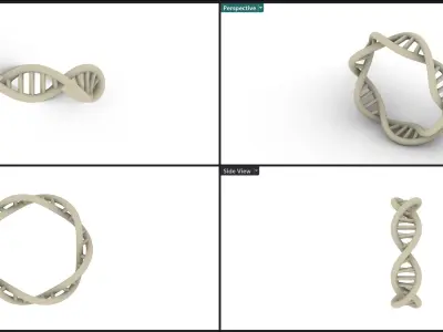 Dna Ring 3D print model
