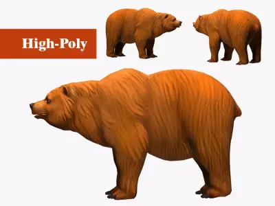 bear  rig  high-poly  textured  3D model