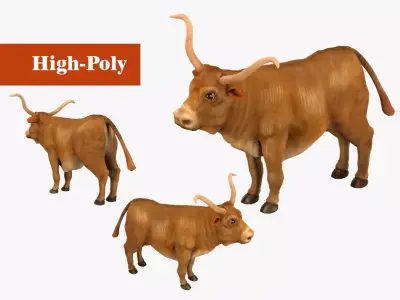 bull  rig  high-poly  textured 3D model