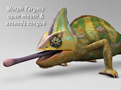 Chameleon - Color 3D model