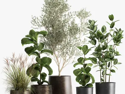 Houseplants in a flowerpot for the interior 1029 3D model