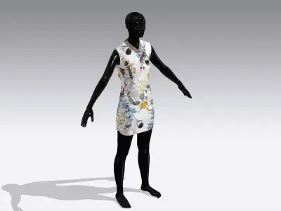 Woman Cloth Dress Low-poly 3D model