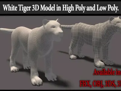 White Tiger High Poly and Low Poly Low-poly 3D model