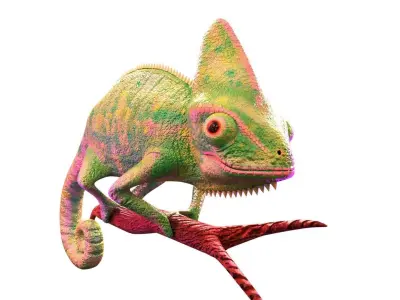 Chameleon  Low-poly 3D model