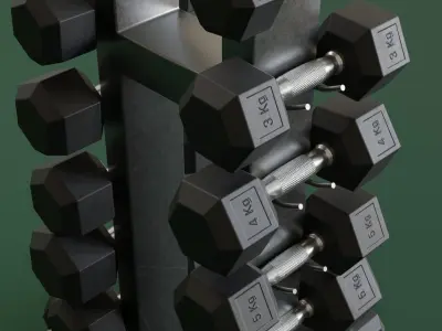 Dumbells kits and Racks 3D model