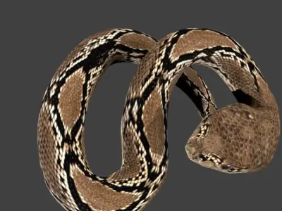 lowpoly snake python Low-poly 3D model