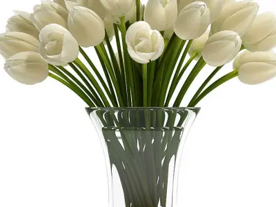 White Tulips 3D model