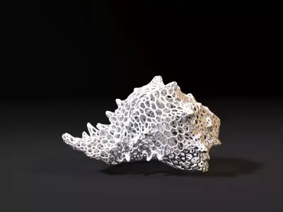 Sea shell 3D print model