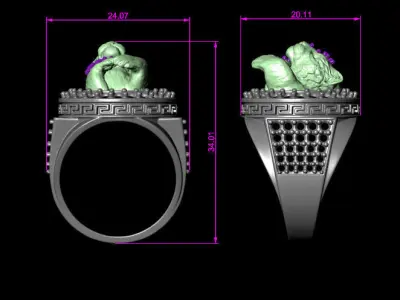 Lion Ring  3D print model