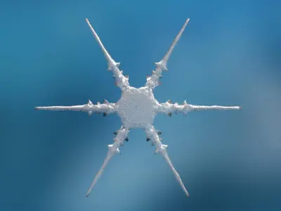 16 Unique Snowflakes Low-poly 3D model