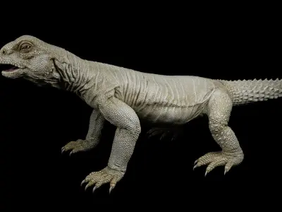 Uromastyx-Lizard Low-poly 3D model
