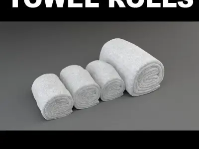 Towel Rolls 3D model