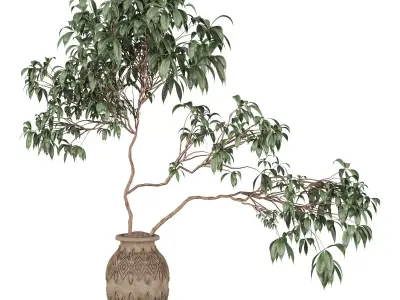 Tree in clay pot 3D model