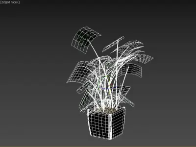   Monstera-Swiss cheese plant in a pot 3D model