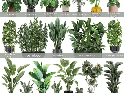 Collection of plants of 20 pieces SET 3 NEW 3D model
