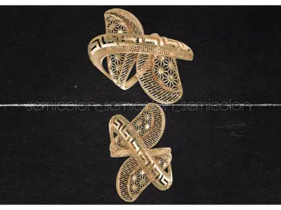 Fusion Ring 2 3D print model