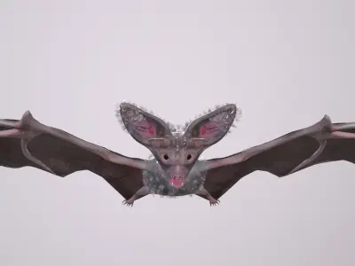 Bat Animated Low-poly 3D model