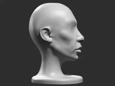 human head modern sculpture 3d print model 112 3D print model