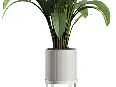 Indoor Plant Set V39 3D model