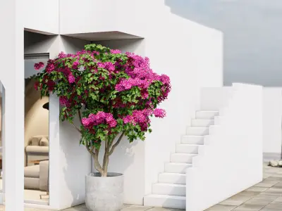 Persian Garden Low-poly 3D model