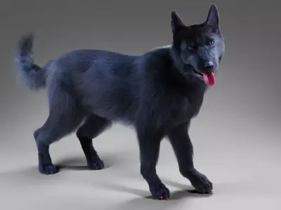 Fur Black Dog Rigged Low-poly 3D model