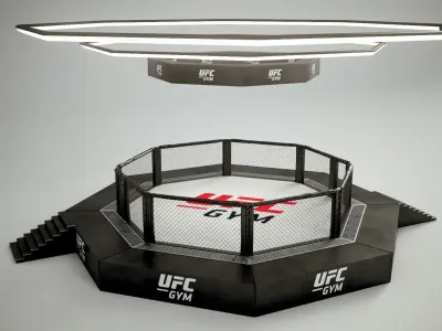 UFC MMA Ring Octogone 3D Model 3D model