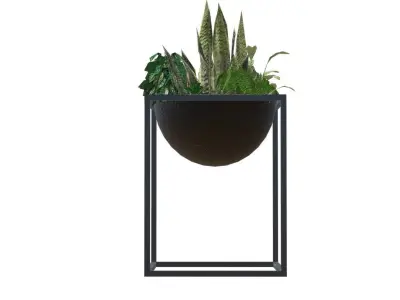Decorative plants Low-poly 3D model