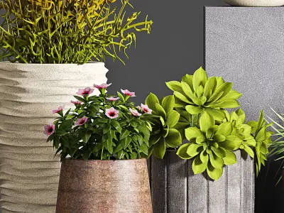 Decorative plant set-57 3D model